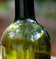 Dusty Bottle Neck (licensed CC BY-NC-ND by caramand) Dusty Bottle Neck (licensed CC BY-NC-ND by caramand)