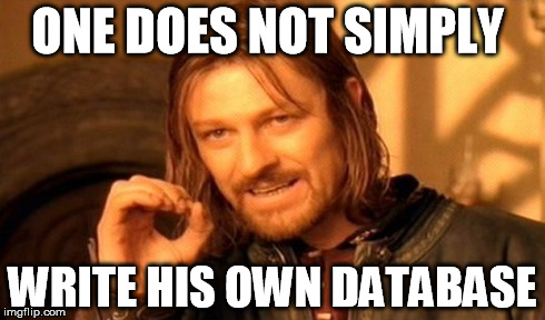 One Does Not Simply Write His Own Database