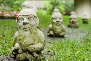 The Disappearing Gnomes!!